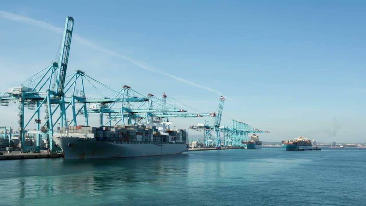 Port logistics operations with container ships and cranes